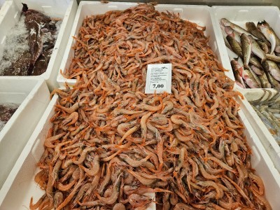 WhatsApp Image 2025-11-07 at 09.18.39.jpeg